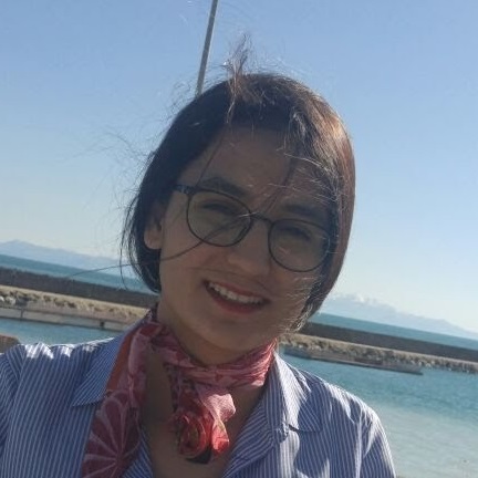 ayşe meryem yıldız